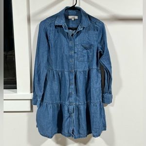 LOFT Denim Dress